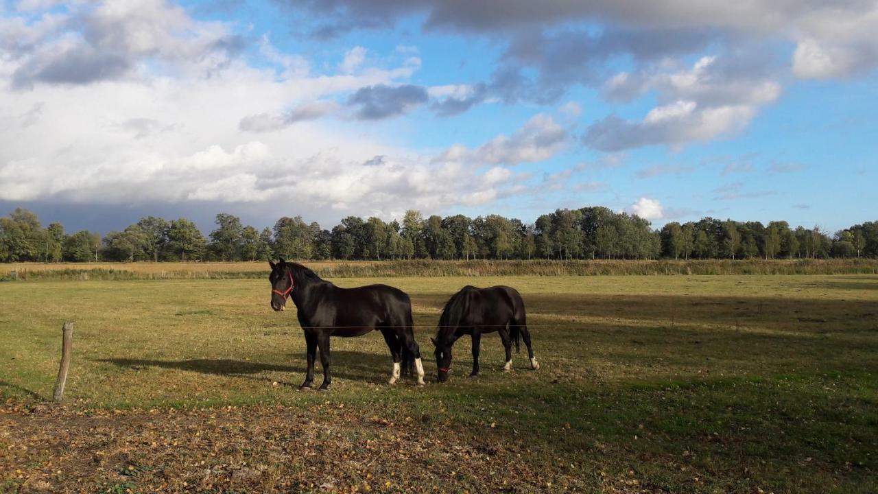 Apartmán Fewo Abendsonne Hermsdorf  Exteriér fotografie